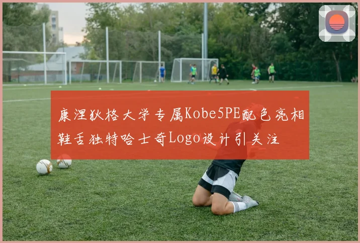 康涅狄格大学专属Kobe5PE配色亮相鞋舌独特哈士奇Logo设计引关注