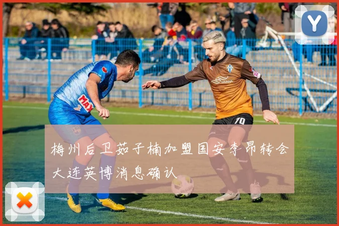 梅州后卫茹子楠加盟国安李昂转会大连英博消息确认