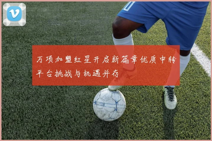 万项加盟红星开启新篇章优质中转平台挑战与机遇并存