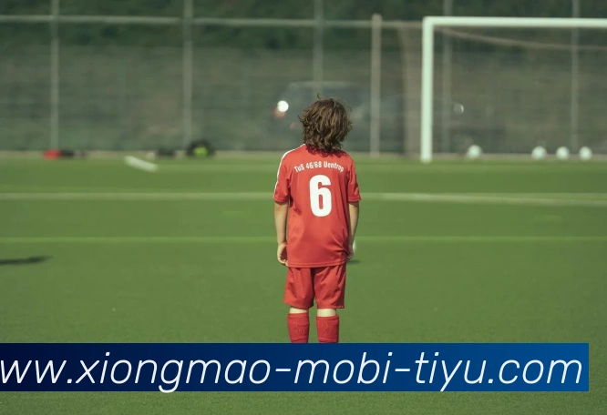 熊猫体育发展历程