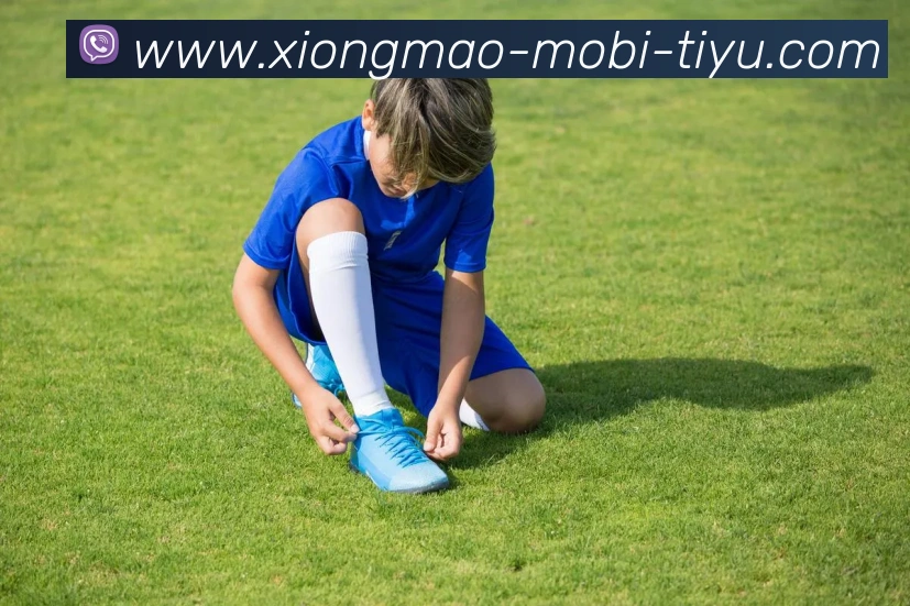 世界杯门票价格飙升梅罗最后一届引发球迷热潮